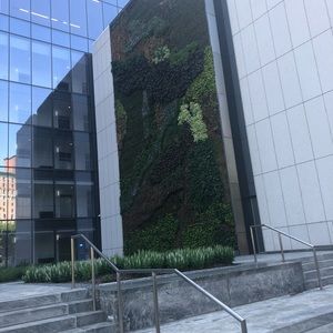 Meet your Posher, Sheeky